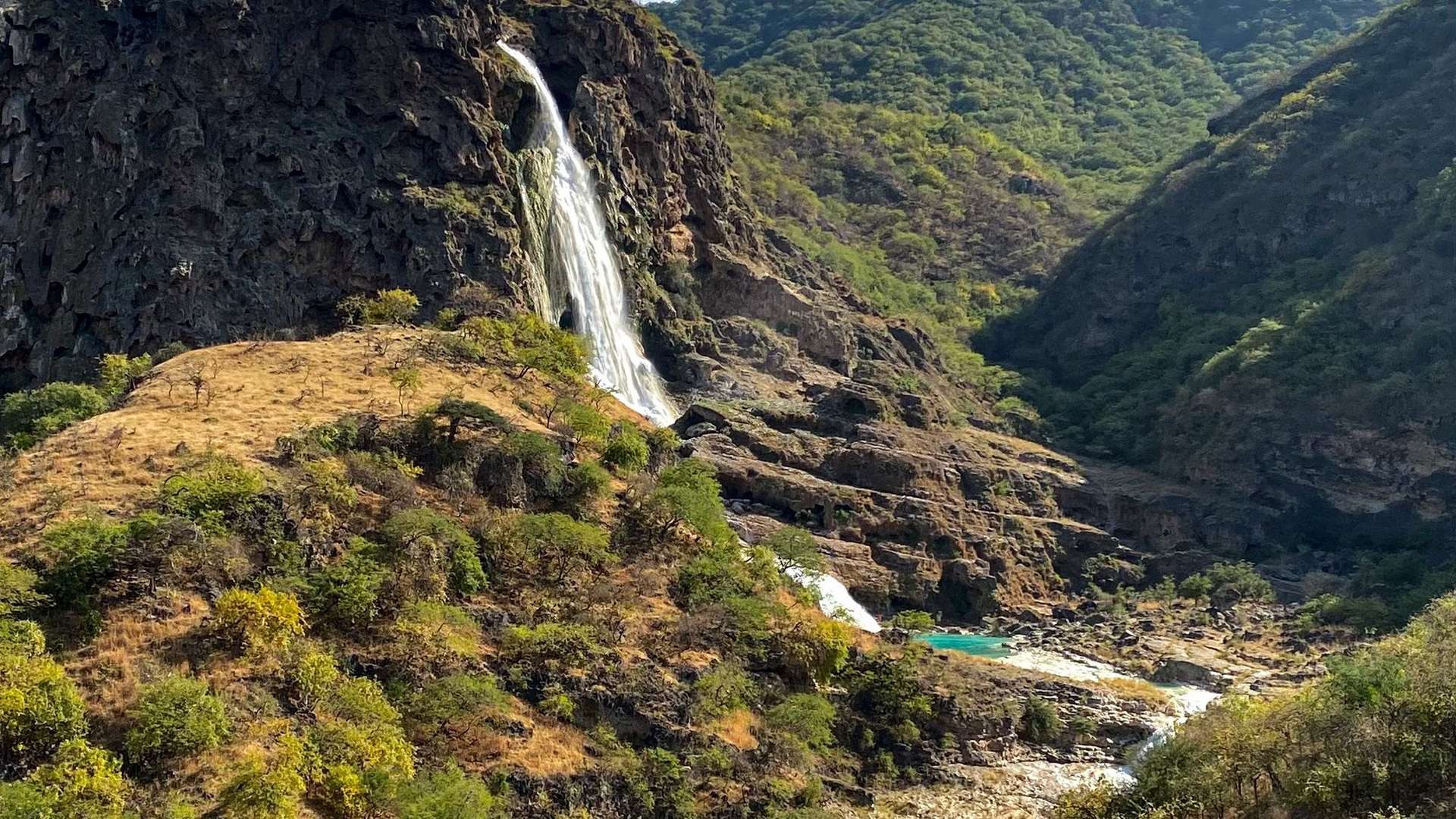 Green Salalah landscape during the summer Khareef season in Oman